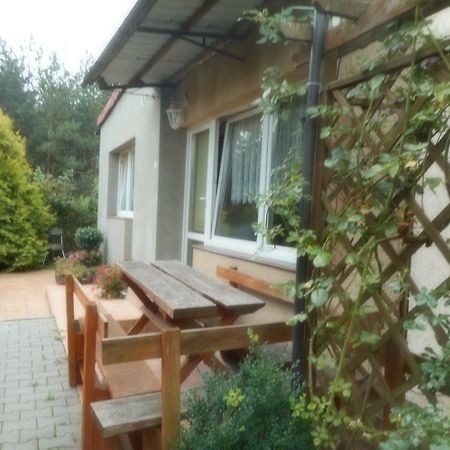 Przy Lesie Nowe Exterior foto